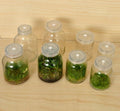 Culture glass with vent on cover, capacity 195 to 1000 ml