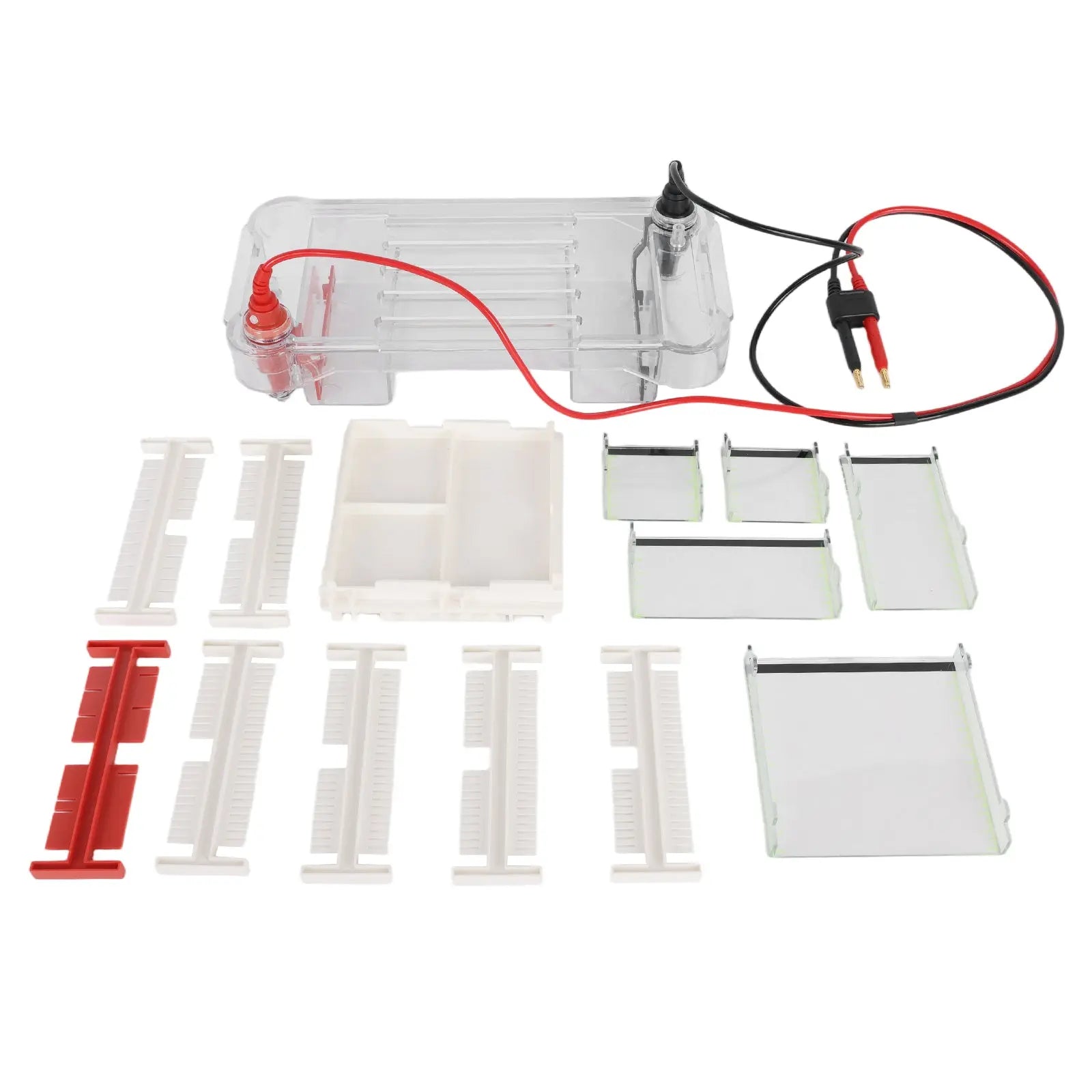 Horizontal Electrophoresis Apparatus, 4 Gel Tray Options, 700 ml Buffer Capacity