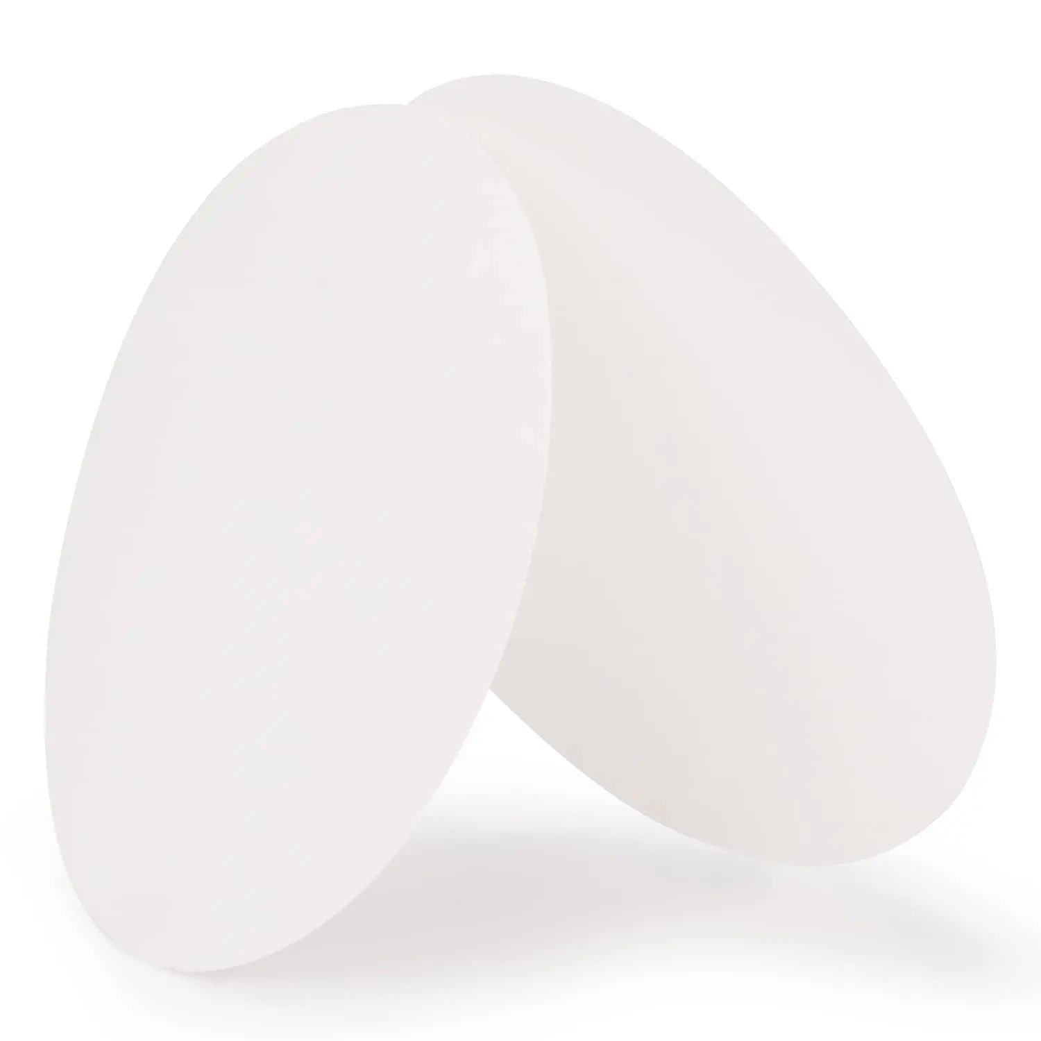 Nylon Membrane Filters, 0.45-micrometer Pore Size, 47-94 mm Diameter, Pack of 50 Sheets